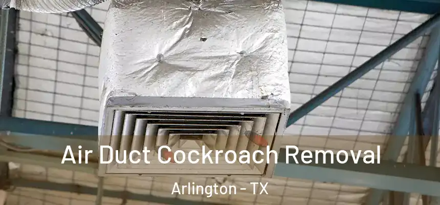 Air Duct Cockroach Removal Arlington - TX