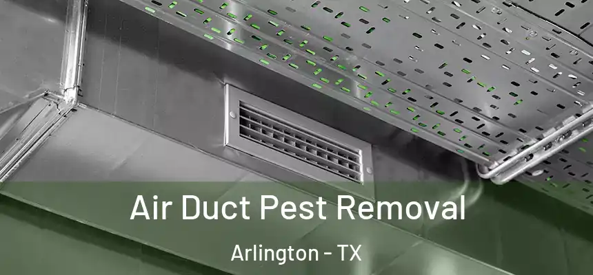 Air Duct Pest Removal Arlington - TX