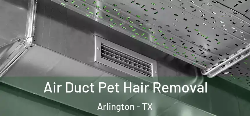 Air Duct Pet Hair Removal Arlington - TX