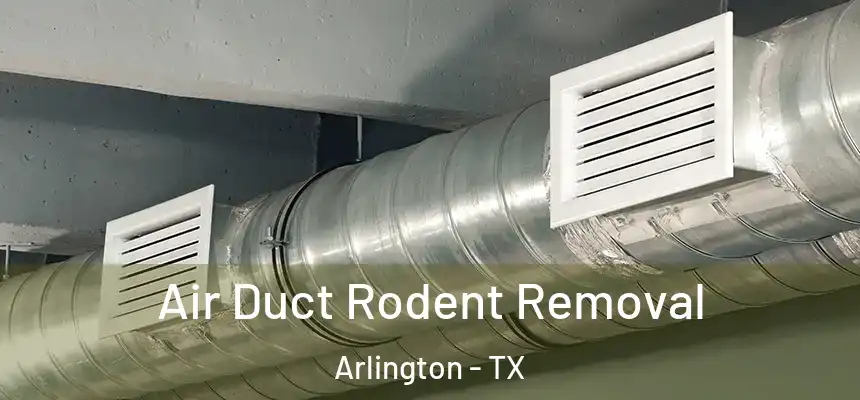 Air Duct Rodent Removal Arlington - TX