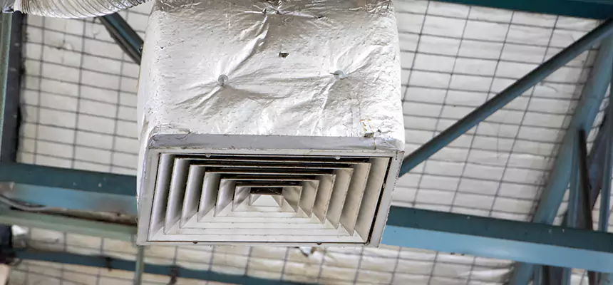 Our HVAC Mold Remediation Service Services in Arlington, TX