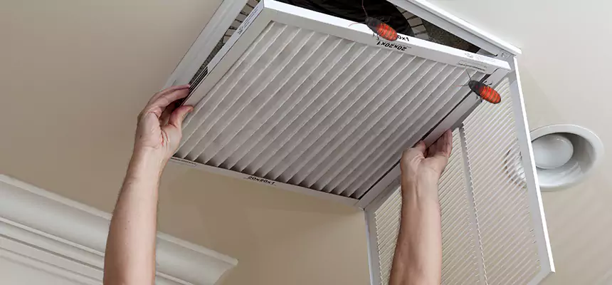 Our Insect Removal from Air Ducts Services in Arlington, TX