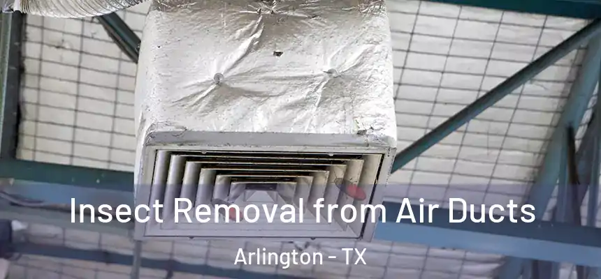Insect Removal from Air Ducts Arlington - TX