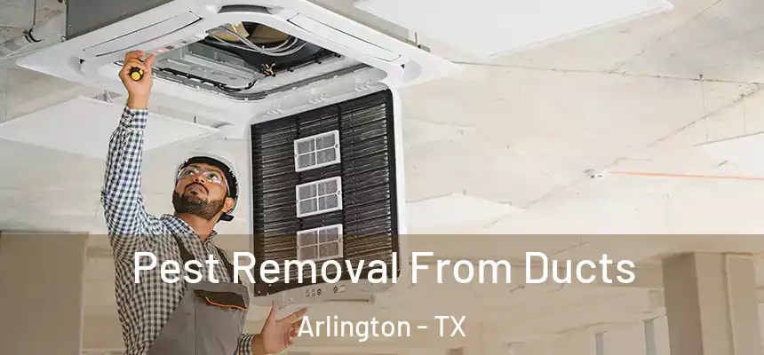 Pest Removal From Ducts Arlington - TX