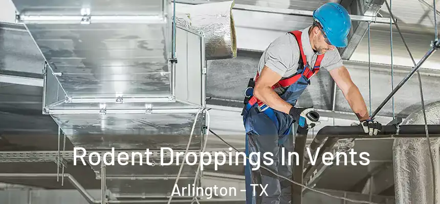 Rodent Droppings In Vents Arlington - TX