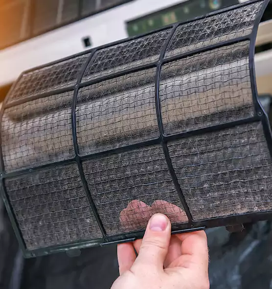 About Pet Dander Duct Cleaning in Arlington, TX